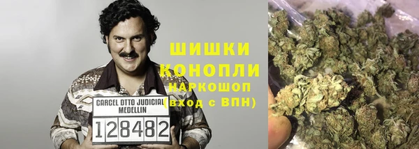 стафф Аркадак