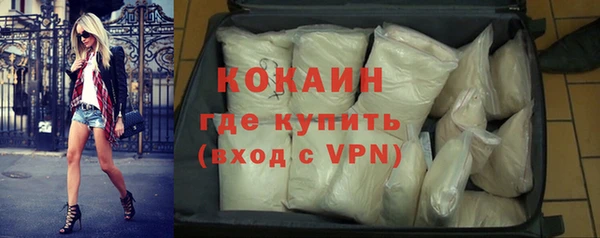 твердый Арсеньев