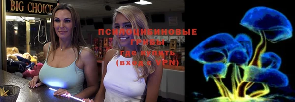 стафф Аркадак
