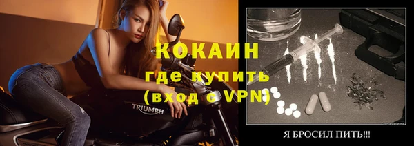 твердый Арсеньев