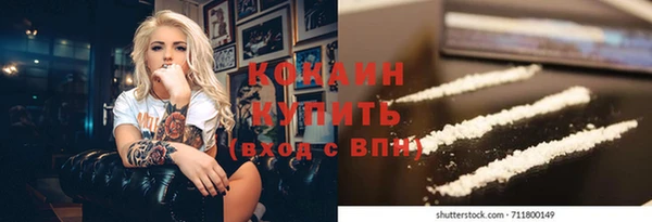 стафф Аркадак