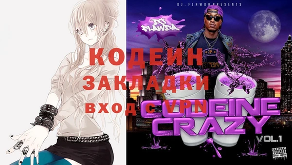 твердый Арсеньев