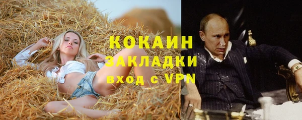 стафф Аркадак