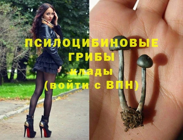 твердый Арсеньев
