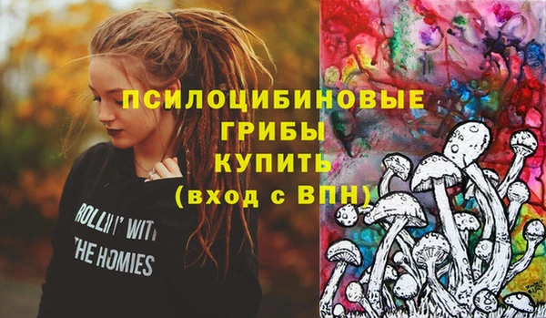 твердый Арсеньев