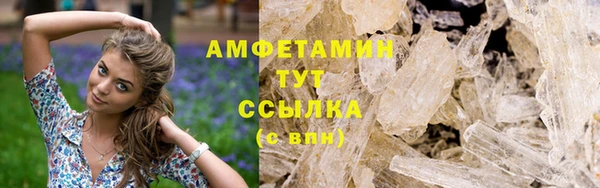 твердый Арсеньев