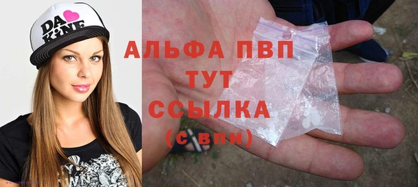 твердый Арсеньев